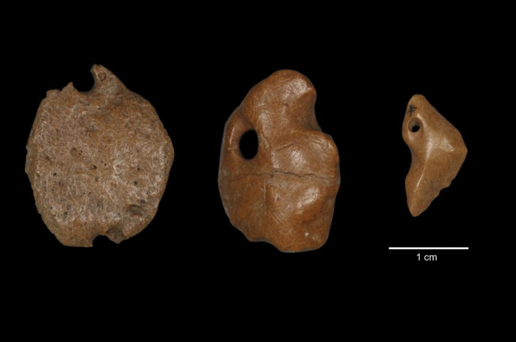 Artifacts made of bony material from a giant sloth discovered at a rock shelter in Brazil, July 12, 2023. (AP Photo)