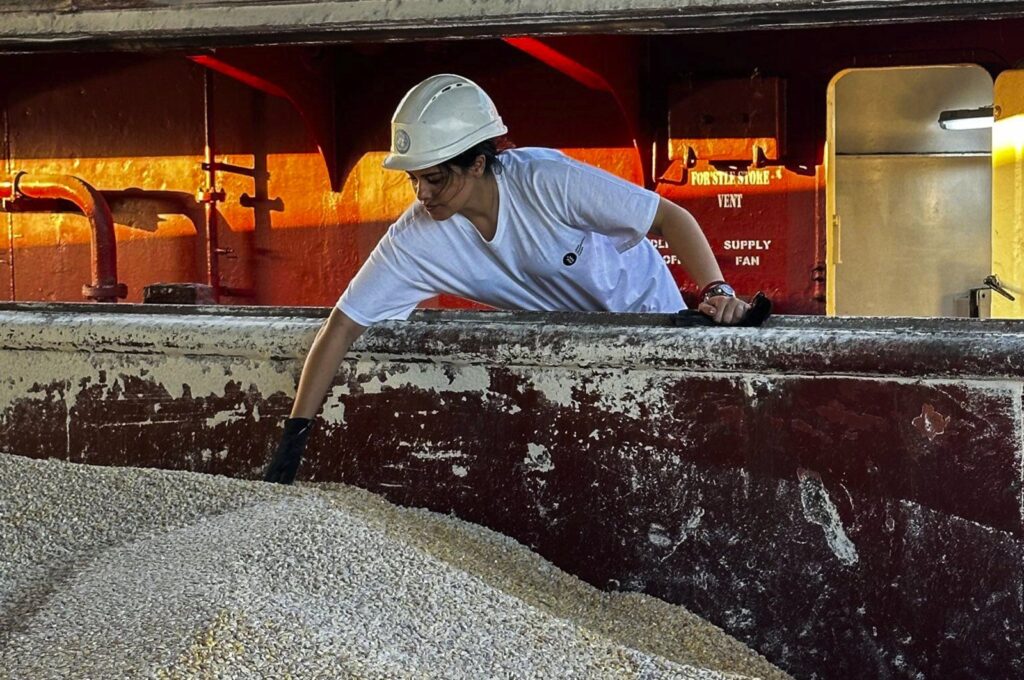 In this photo released by the United Nations, a U.N. official of the Joint Coordination Centre carries out an inspection on board of the bulk cargo ship TQ Samsun, which traveled from Odessa, Ukraine, loaded with grain, while anchored in the Black Sea, near the entrance of the Bosporus in Istanbul, Türkiye, Monday, July 17, 2023. (United Nations via AP)