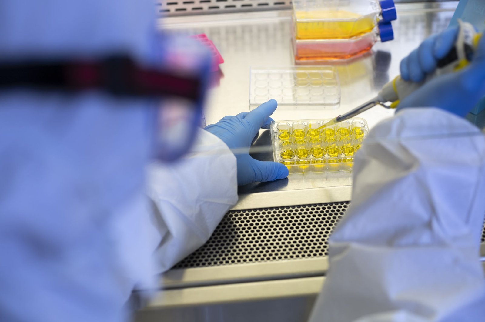 Scientists identify molecule that shows potential in targeting and eliminating cells responsible for aging. (Getty Images Photo)
