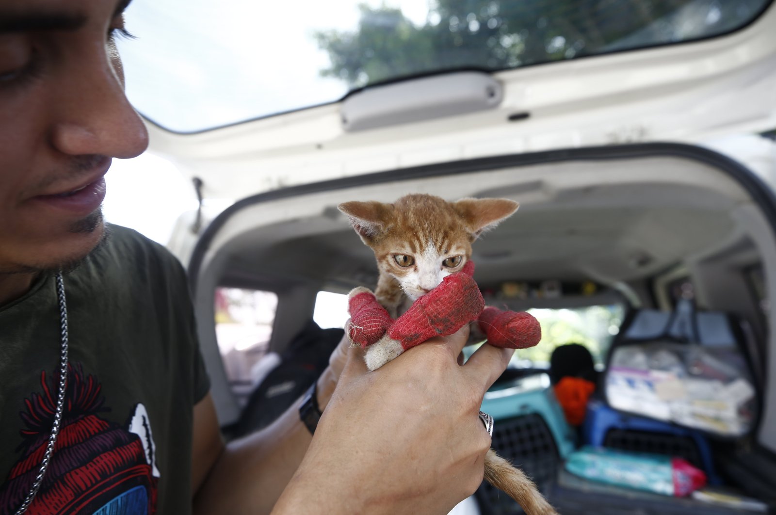 A volunteer is treating a cat with burned paws rescued after recent forest fires in Antalya, Türkiye, July 26, 2023. (AA Photo)