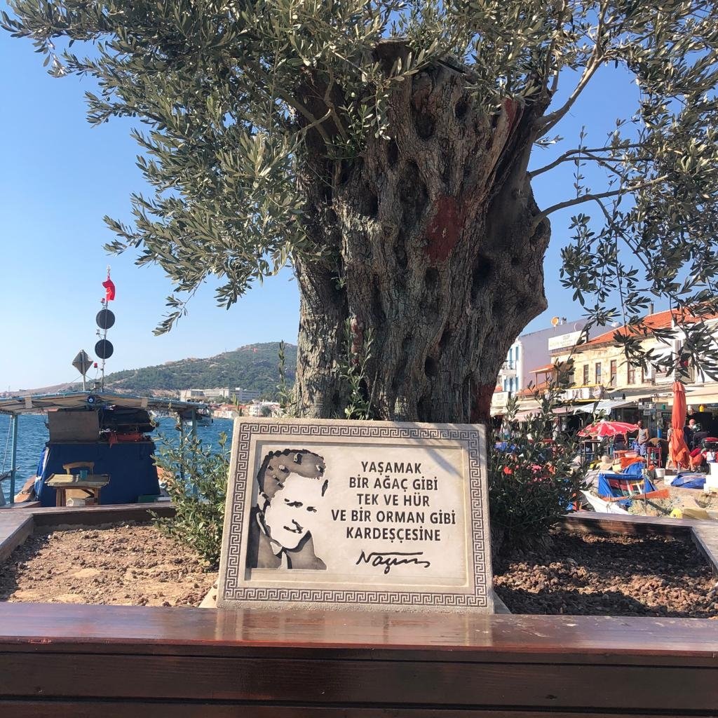 285003 Photo shows a sign dedicated to Turkish poet Nazım Hikmet's image that reads his famous line 'To live! Like a tree alone and free. Like a forest in brotherhood' as seen from the Foça harbor, Izmir, western Türkiye. (Photo by Emre Başaran)