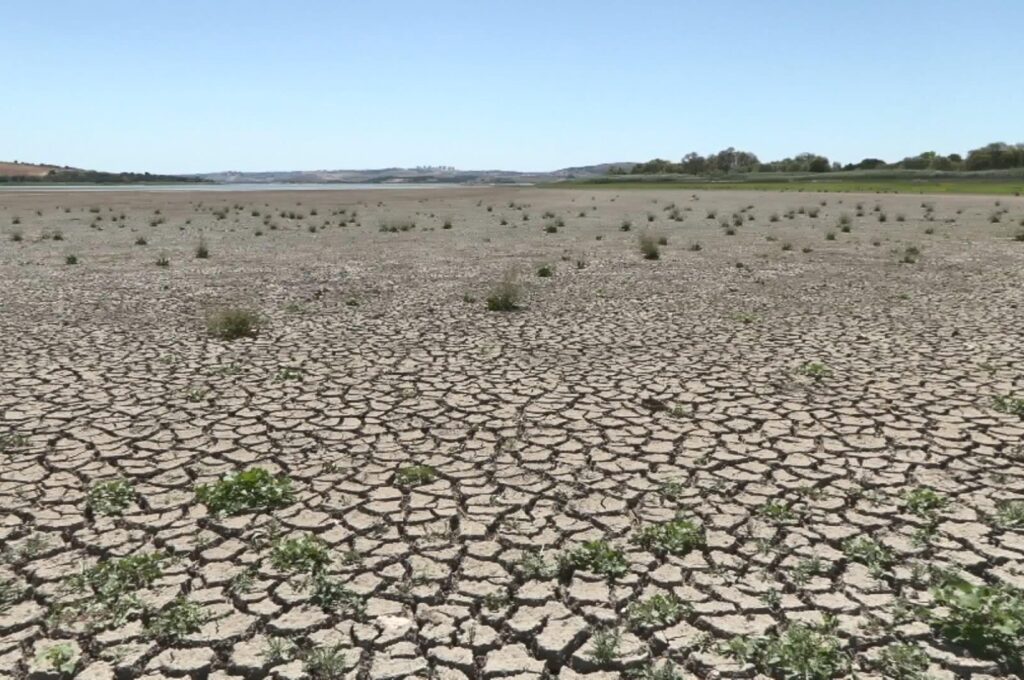 General view of a depleted area of Büyükçekmece Lake, Istanbul, Türkiye, July 30, 2023. (DHA Photo)