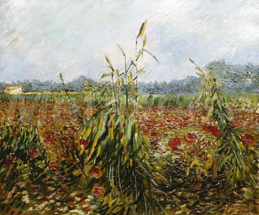 "Green Corn Stalks" by Vincent Van Gogh. (Wikipedia Photo)
