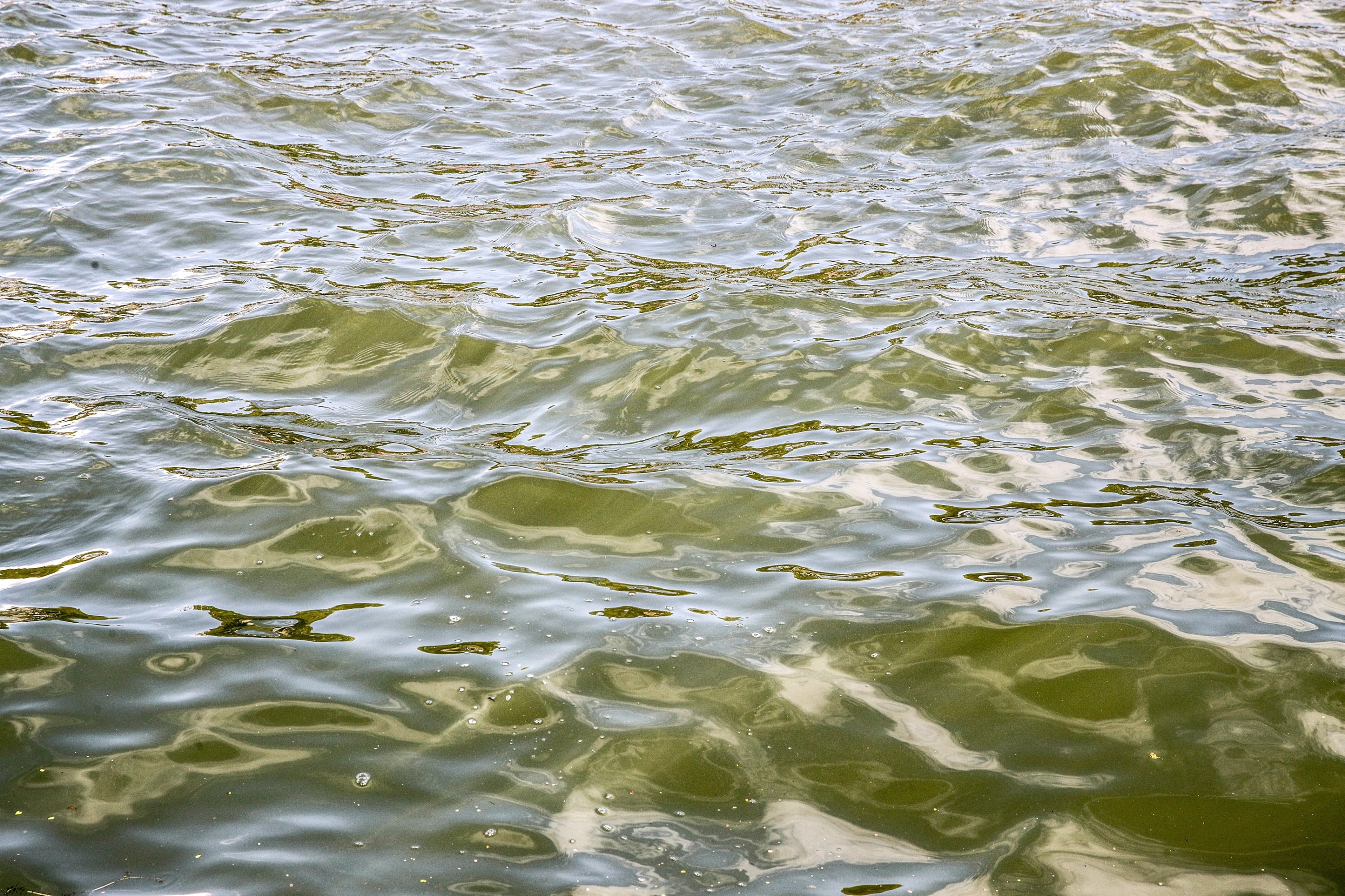 286076 The water quality dropped to levels below the standards following heavy rain in Seine River, Paris, France, Aug. 04, 2023. (EPA Photo)