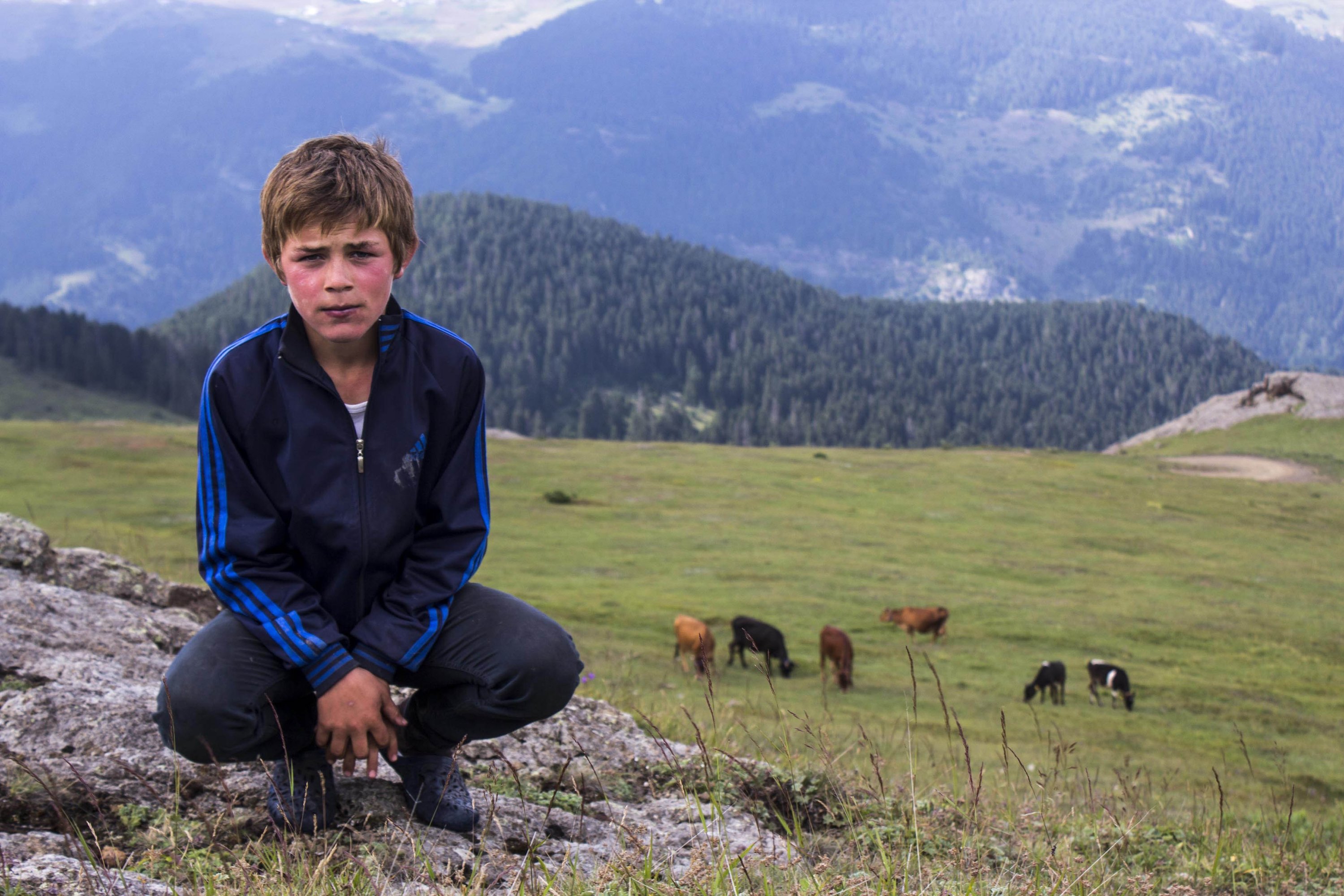 286953 Twelve-year-old Eren Bülbül poses on a grassy plateau in his hometown Maçka in northwestern Trabzon province, Türkiye, July 29, 2014. (DHA Photo)