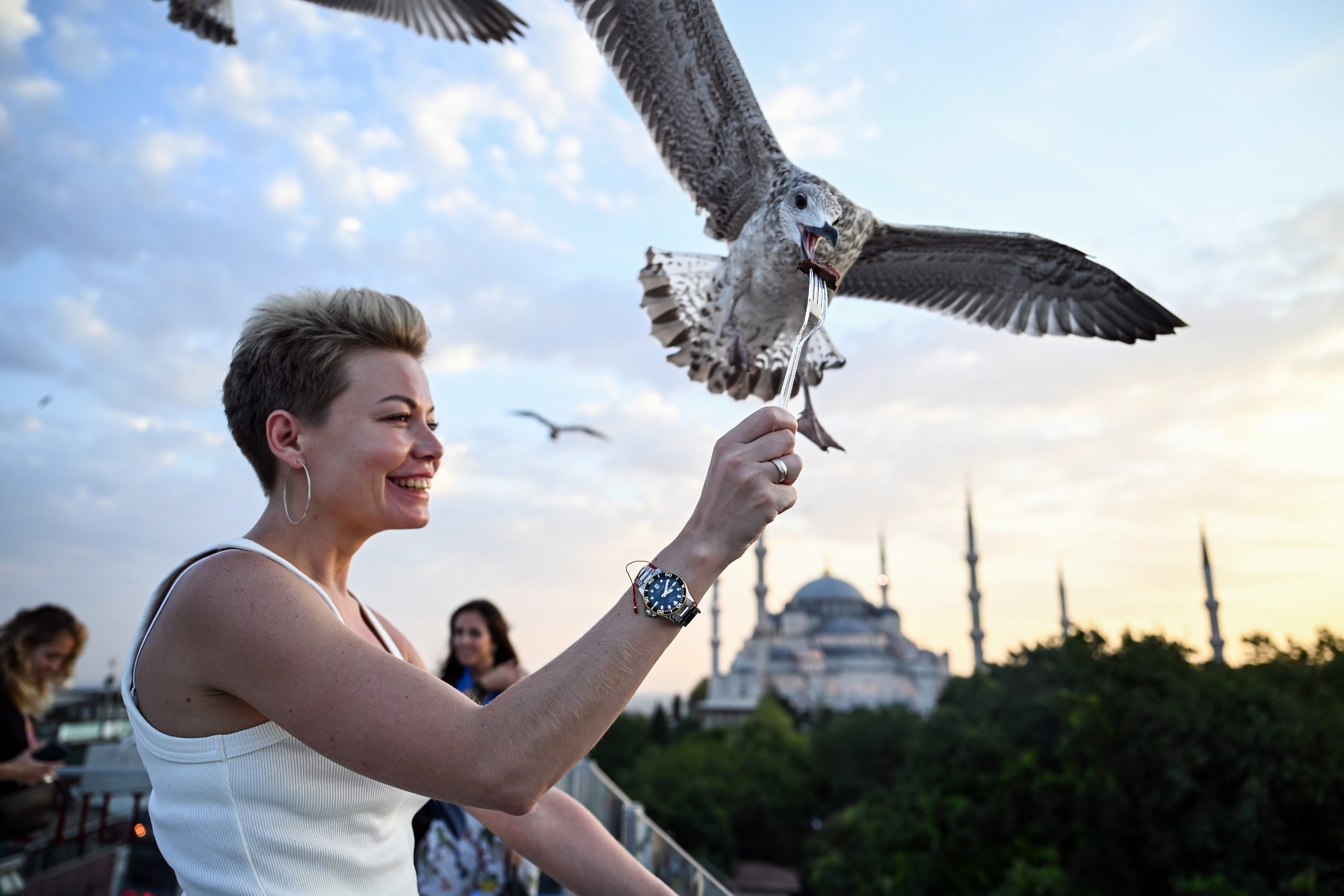 288313 A tourist poses while feeding a seagull with the Hagia Sophia Grand Mosque landscape, Istanbul, Türkiye, Aug. 21, 2023. (IHA Photo)