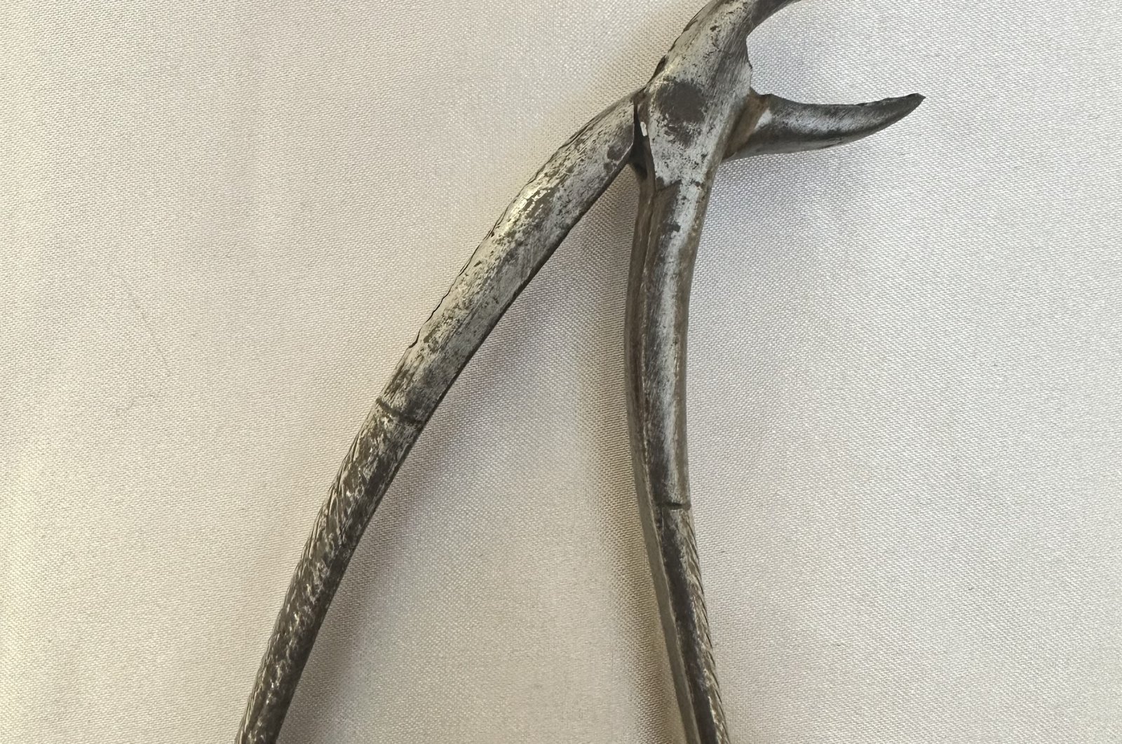 Dental forceps produced during the Ottoman era in 1898 are now displayed at the country's first Dental Health Museum, Istanbul, Türkiye. (Photo courtesy of the Dental Health Museum)