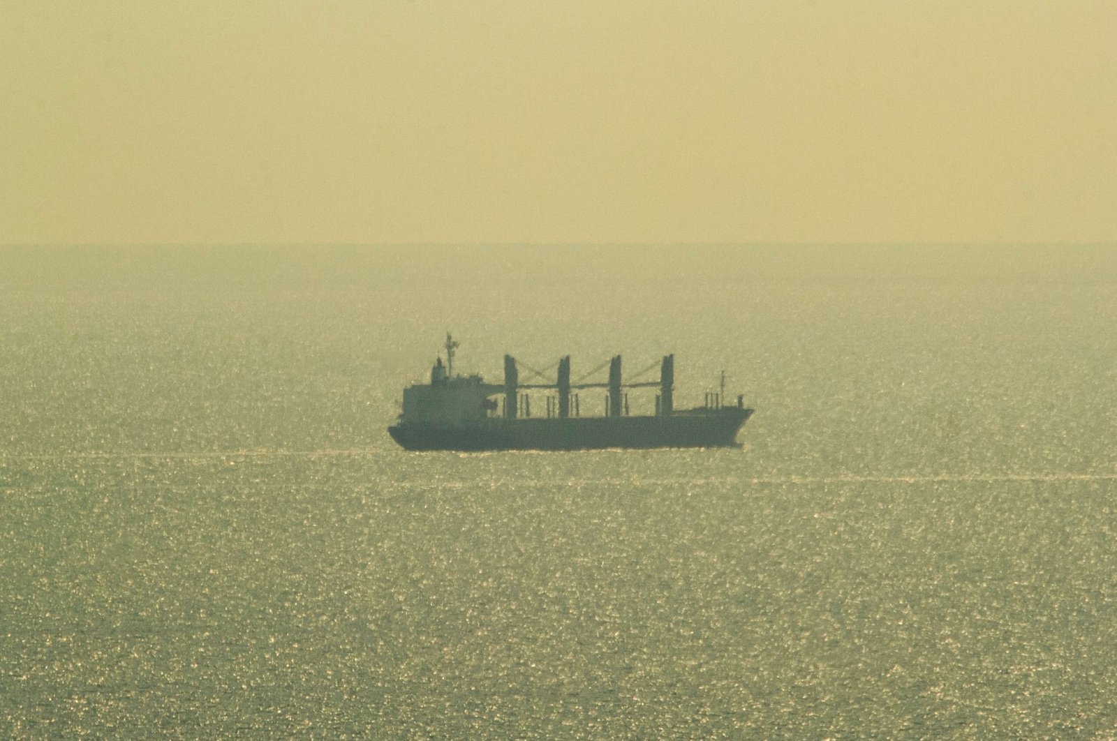 The bulk carrier Primus, registered in Liberia, sails toward the Bulgarian Black Sea's port of Varna, Aug. 26, 2023. (AFP Photo)