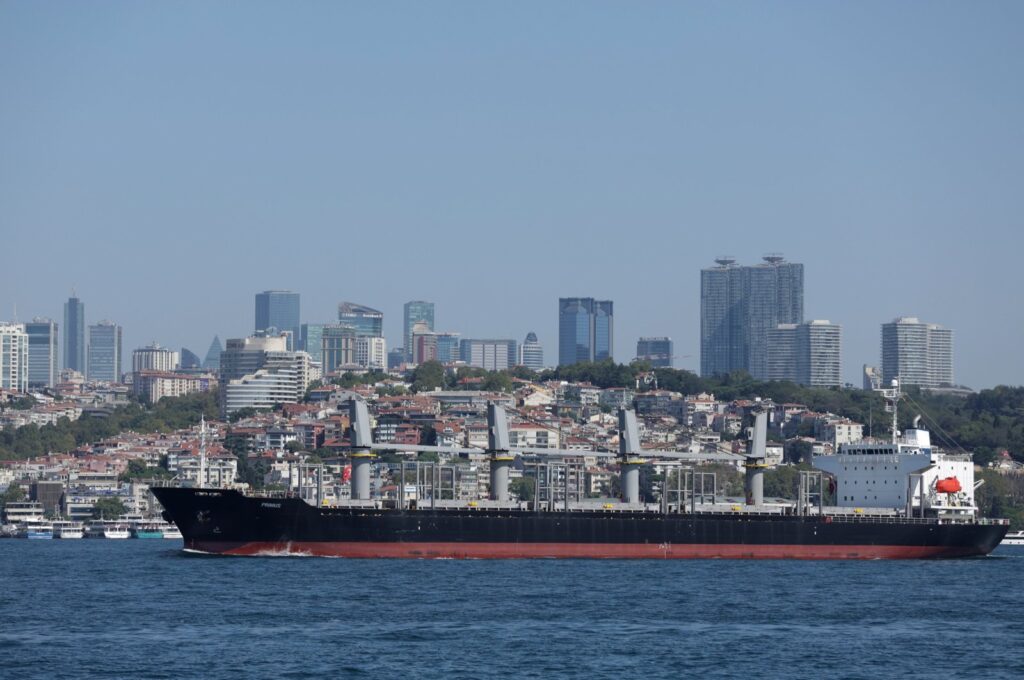The Liberian-flagged bulk carrier Primus sails on the Bosporus in Istanbul, Türkiye, Aug. 29, 2023. (EPA Photo)