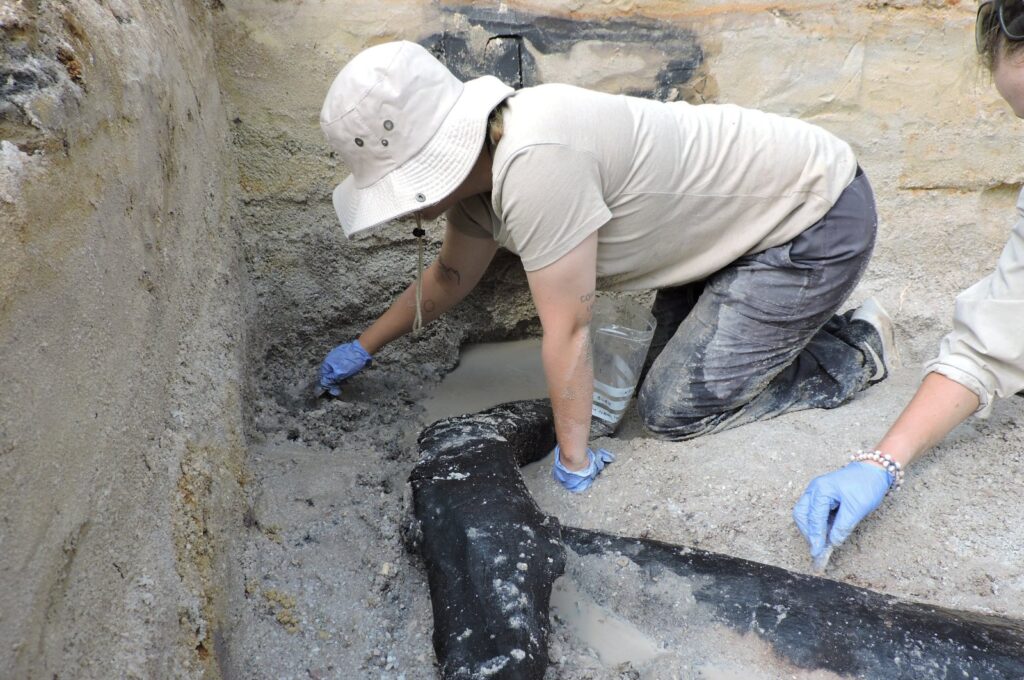 Researchers uncovered a wooden structure on the banks of the Kalambo River in Zambia that represents the oldest-known use of wood in construction in this undated handout image taken in August 2019. (Reuters Photo)