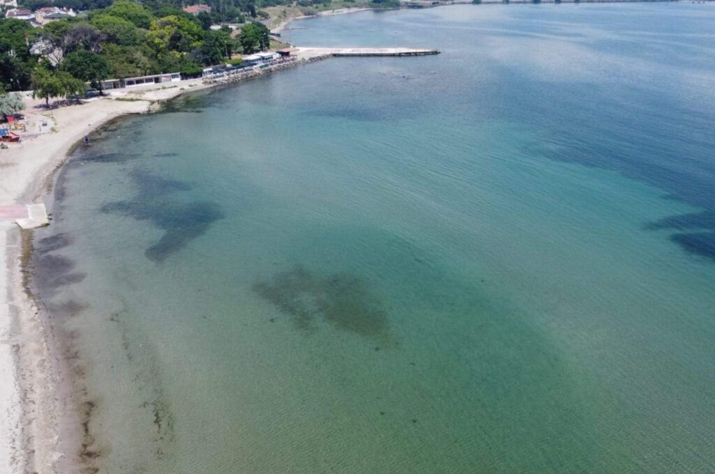 The Marmara Sea's water temperature surged by 2.5 degrees Celsius (4.5 degrees Fahrenheit), Tekirdağ, Türkiye, Dec. 4, 2023. (DHA Photo)