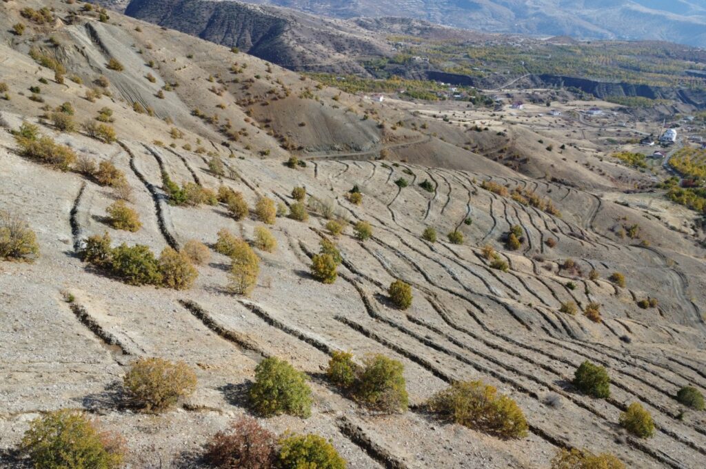 8.15 million saplings planted on 6,870 hectares across East Anatolia, Türkiye, Dec. 08, 2023. (AA Photo)