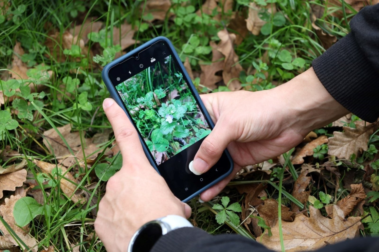 Nature lovers participating in the "Count Species" recorded new flora and fauna species, Ormanya, Türkiye, Dec. 10, 2023. (IHA Photo)