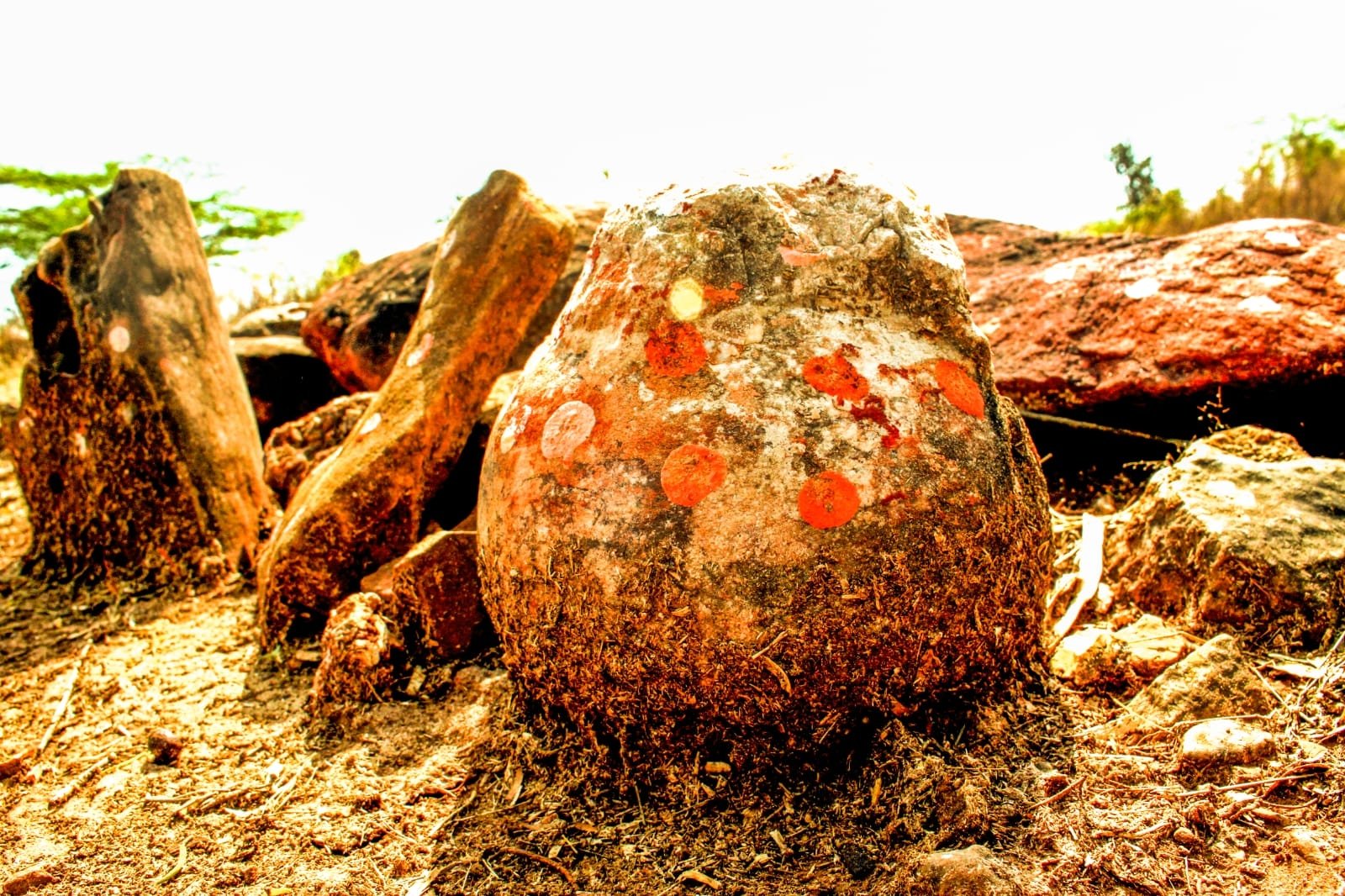 307925 A stone sphere worshipped by Indian farmers for generations has turned out to be a fossilized dinosaur egg, New Delhi, India. Dec. 27, 2023. (dpa Photo)