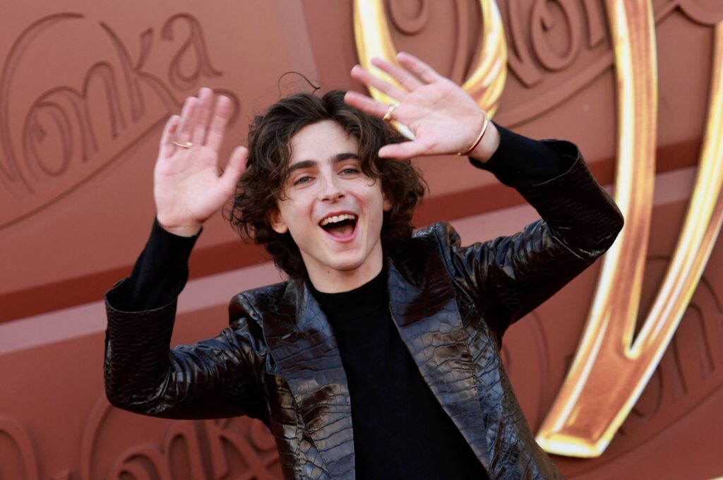 U.S.-French actor Timothee Chalamet arrives for the U.S. premiere of "Wonka" at the Regency Village theater in Westwood, California, U.S., Dec. 10, 2023. (AFP Photo)