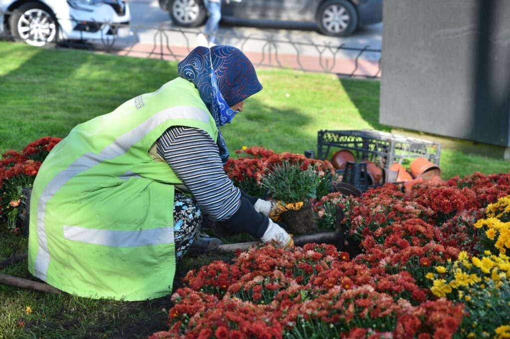 A municipal worker plants saplings on green belts across the city, Bursa, Türkiye, Jan. 10, 2024. (IHA Photo)