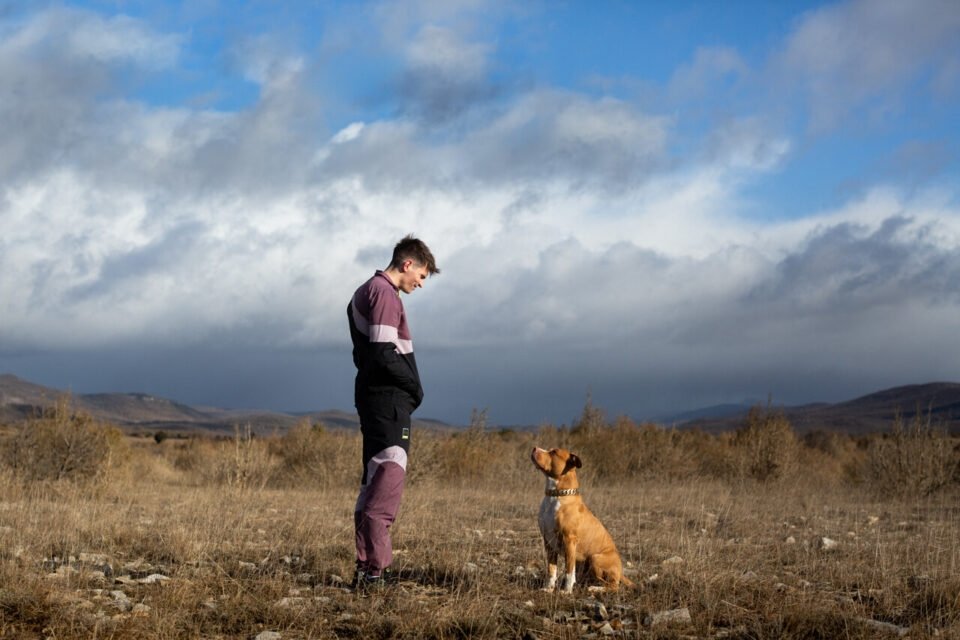 A still shot from Jean-Baptiste Durand's "Junkyard Dog."