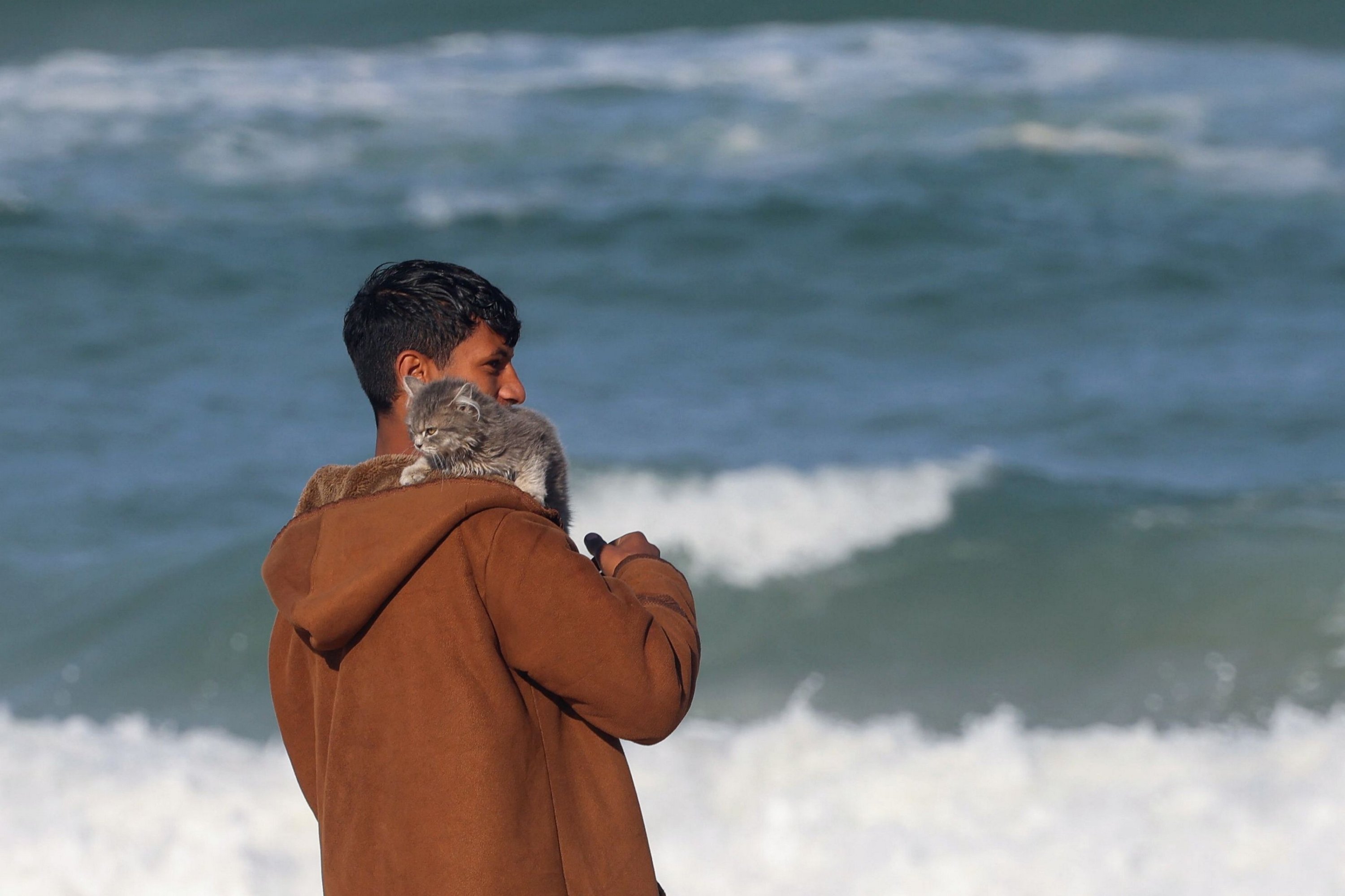 311667 A youth carries a kitten on his shoulder as he walks at the beach at a makeshift tent camp, in Rafah, southern Gaza Strip, Palestine, Jan. 24, 2024. (AFP Photo)