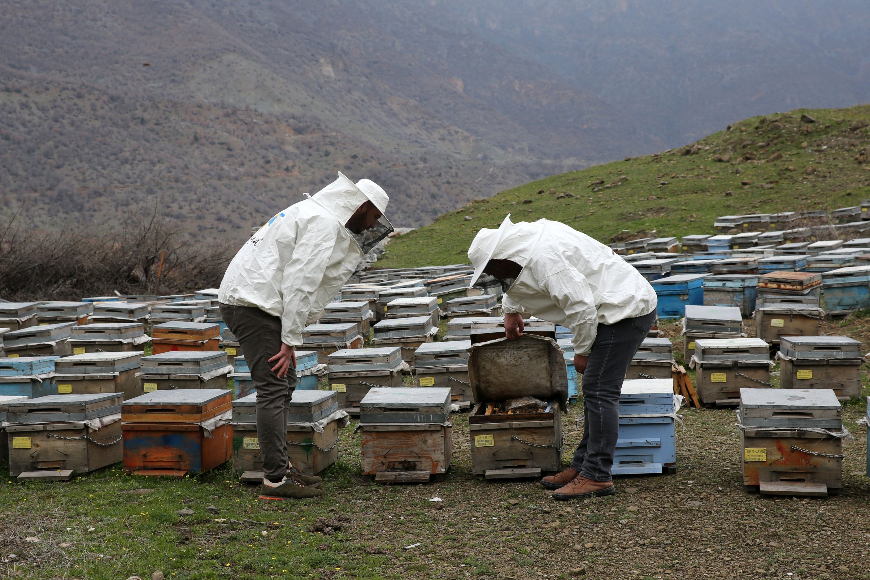 316599 The Bitlis honey, produced in the high plateaus rich with flora of the city, was deemed worthy of the gold honey award at the 2024 Paris International Honey Awards (PIHA) held in the capital of France, Paris, Feb. 22, 2024. (AA Photo)