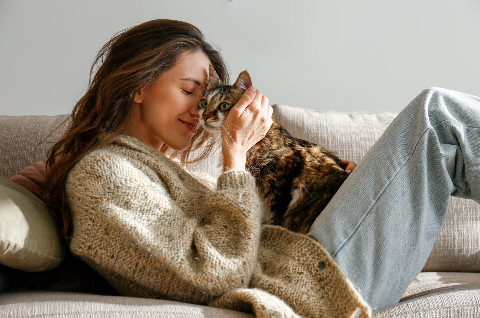 Cats are beloved pets cherished by many, but we transmit twice as many viruses to them than they do to us. (Shutterstock Photo)