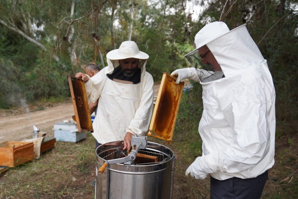 Beekeepers harvest the season's first honey, Adana, Türkiye, April 28, 2024. (IHA Photo)