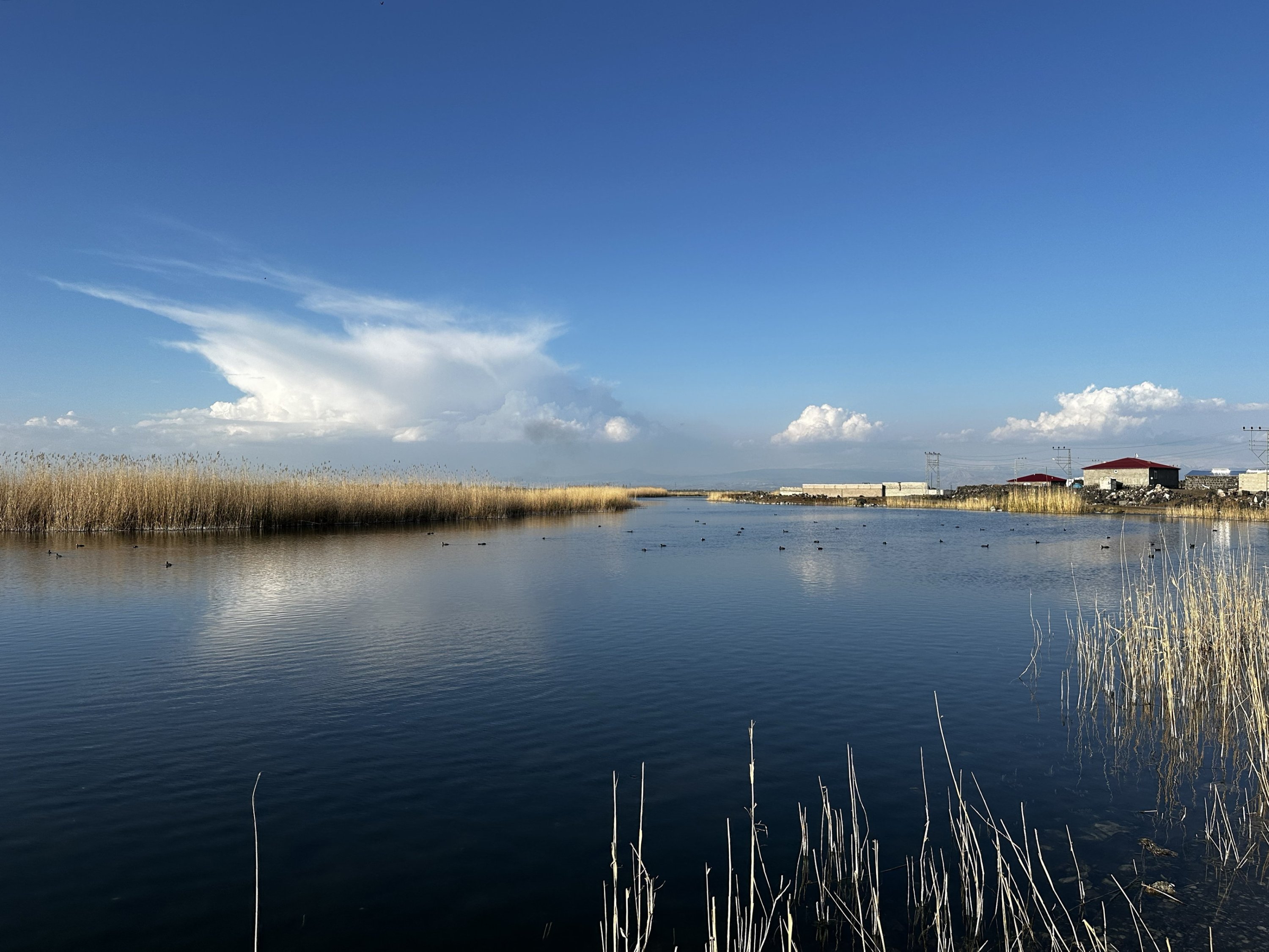 325786 Karasu Wetland, formed by the glacial waters of Mount Ağrı, eastern Türkiye. April 29, 2024. (AA Photos)