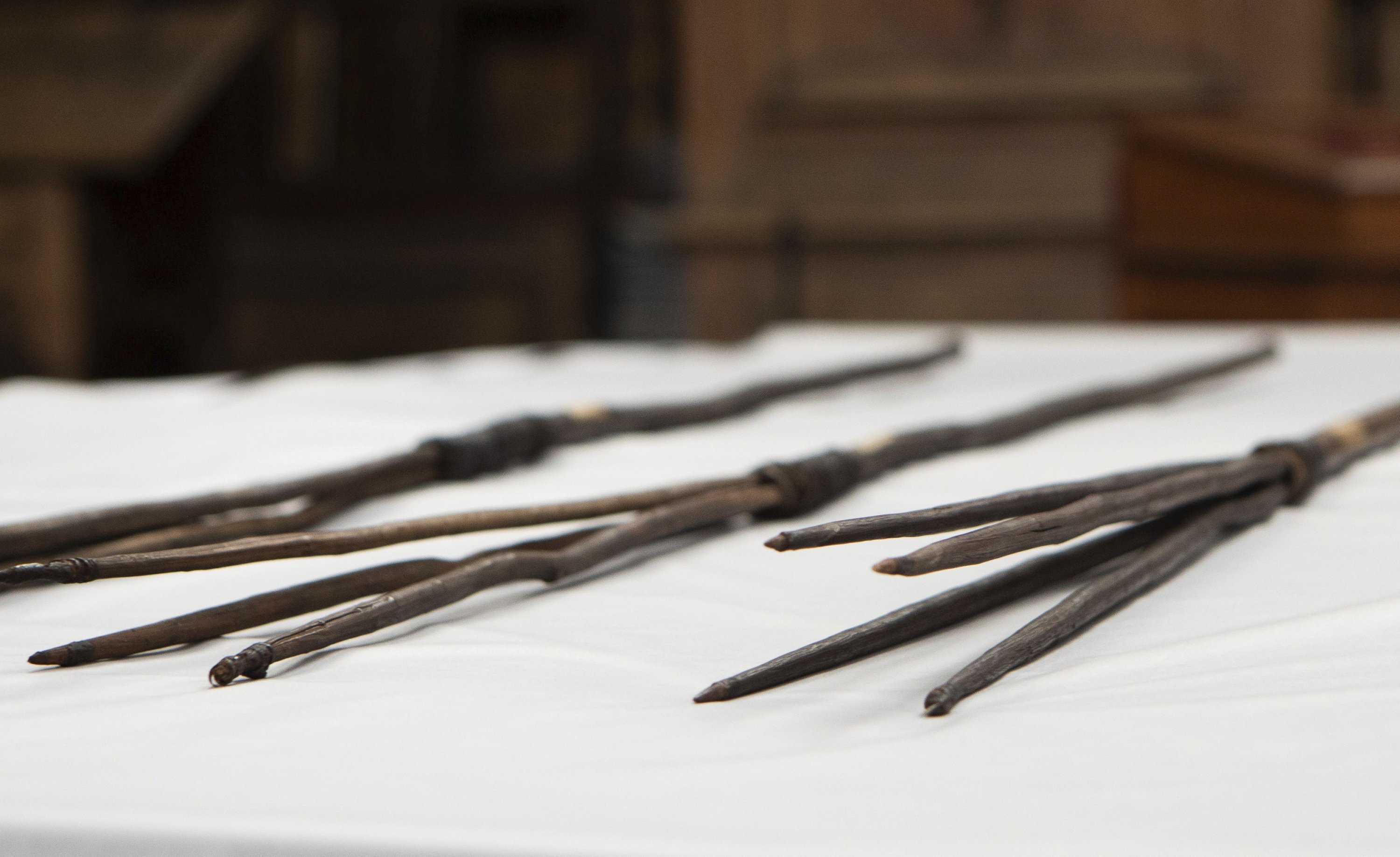 326375 The four Aboriginal spears that were brought to England by Captain James Cook more than 250 years ago and have now been repatriated to Australia in a ceremony at Trinity College in Cambridge, April 23, 2024. (AP Photo)