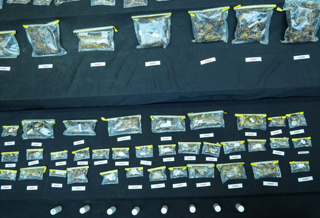 Authorities display the 88 liquid-filled tubes and 1,500 specimens of scorpions, tarantulas and spiders that were confiscated, Istanbul, Türkiye, May 13, 2024. (AA Photo)