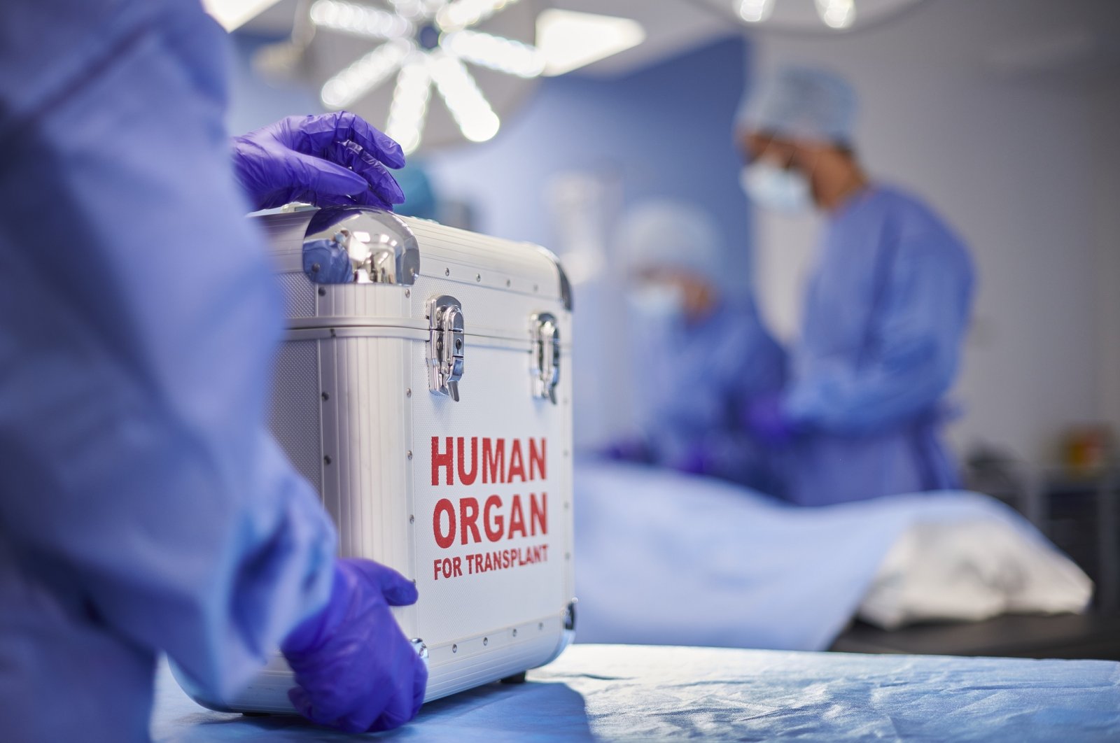 Bora Dumlupınar's family donated his organs, benefiting six patients, and advocated for organ donations. (Getty Images Photo)