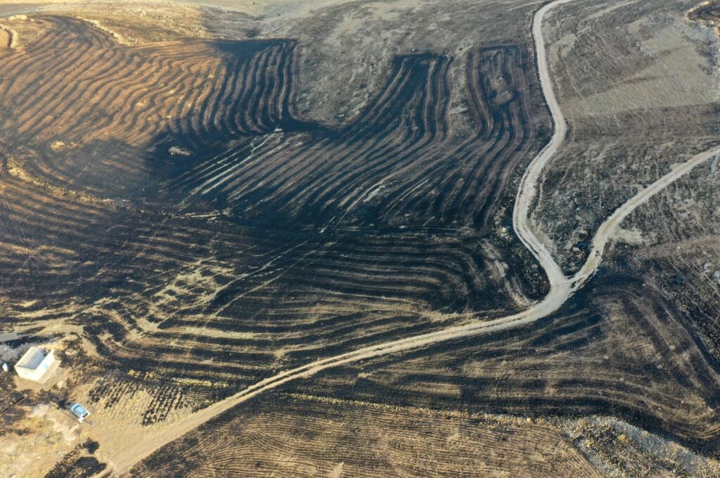 The burnt areas spanned from Çınar district of Diyarbakır to Mazıdağı district of Mardin, Türkiye. (AA Photo)