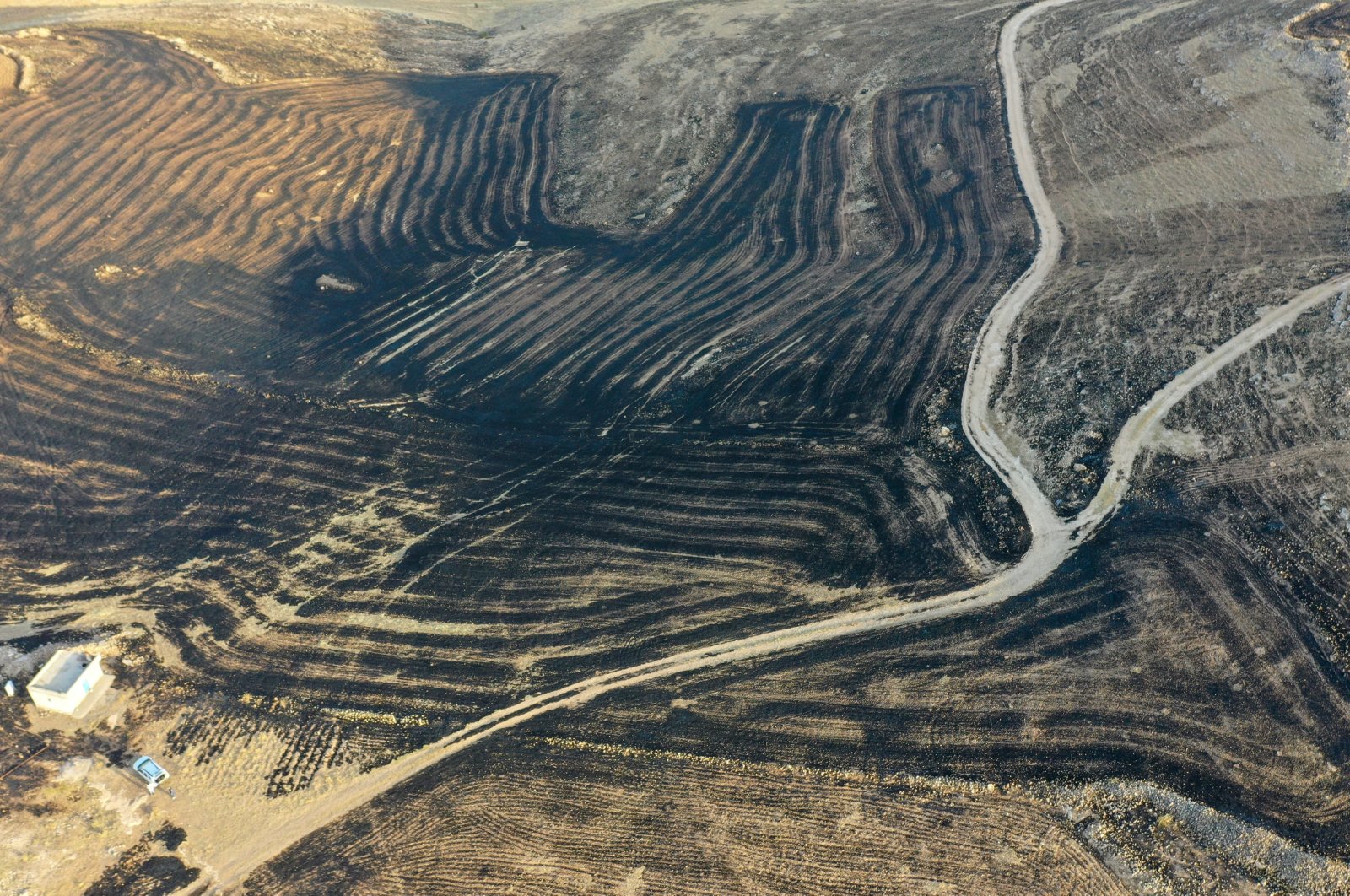 The burnt areas spanned from Çınar district of Diyarbakır to Mazıdağı district of Mardin, Türkiye. (AA Photo)