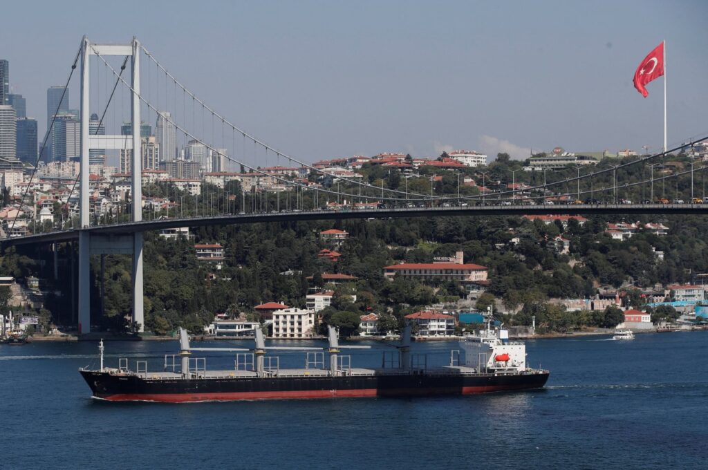 Liberian-flagged bulk carrier Primus transits the Bosporus on its way to the Mediterranean Sea, Istanbul, Türkiye, Aug. 29, 2023. (Reuters Photo)