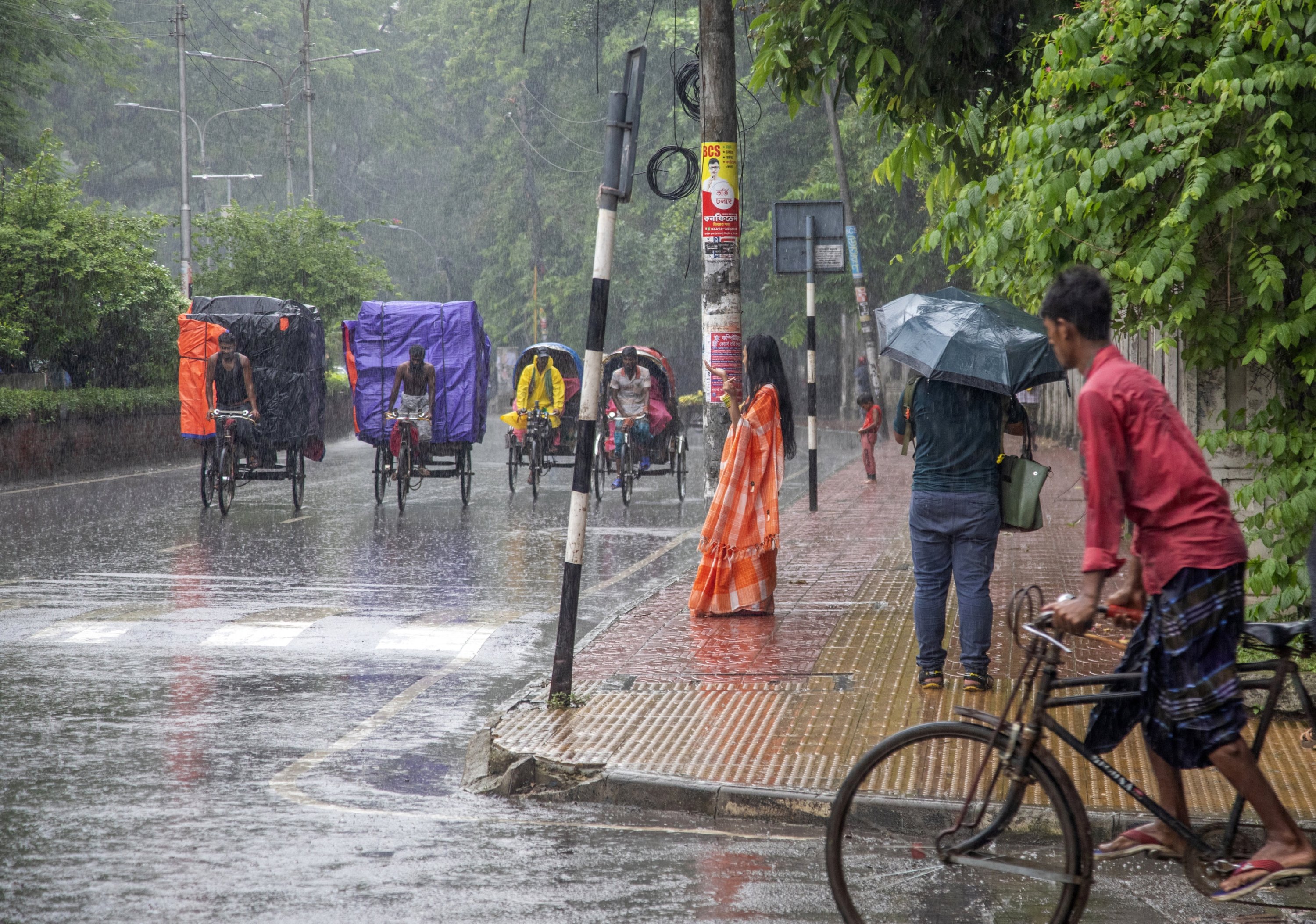 335733 Rickshaw pullers ride their rickshaws during a rainy day at Dhaka University campus, Dhaka, Bangladesh, July 3, 2024. (EPA Photo)