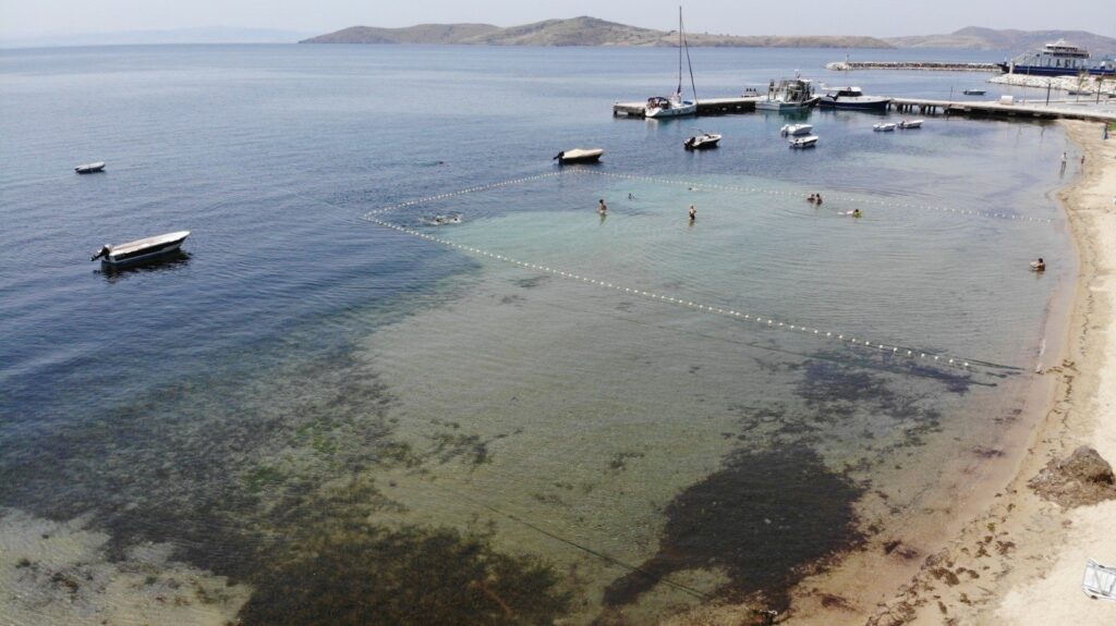 The Marmara Sea is threatened by marine pollution and rising temperatures, Türkiye, July 2, 2024. (IHA Photo)