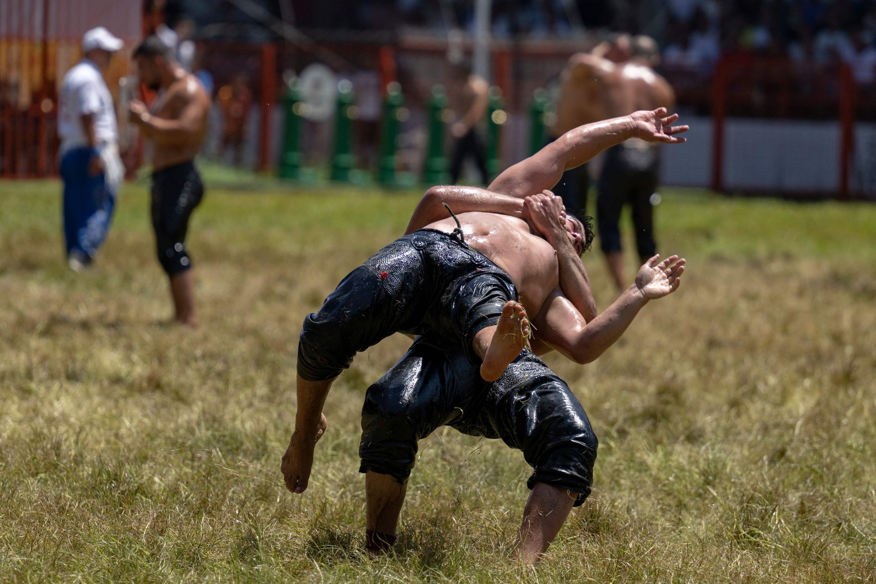 336324 Wrestlers compete during the 663rd edition of the annual Historic Kırkpınar Oil Wrestling championship, Edirne, Türkiye, July 7, 2024. (AFP Photo)