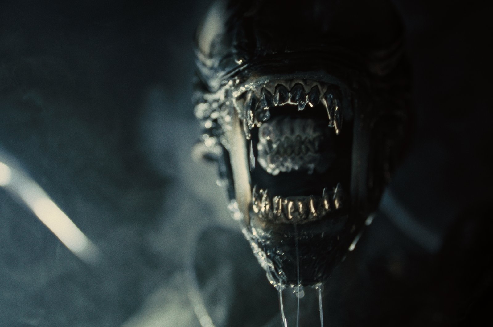 More than 40 years after the first "Alien" film, sci-fi fans are still hungry for more deep space gore. (dpa Photo)