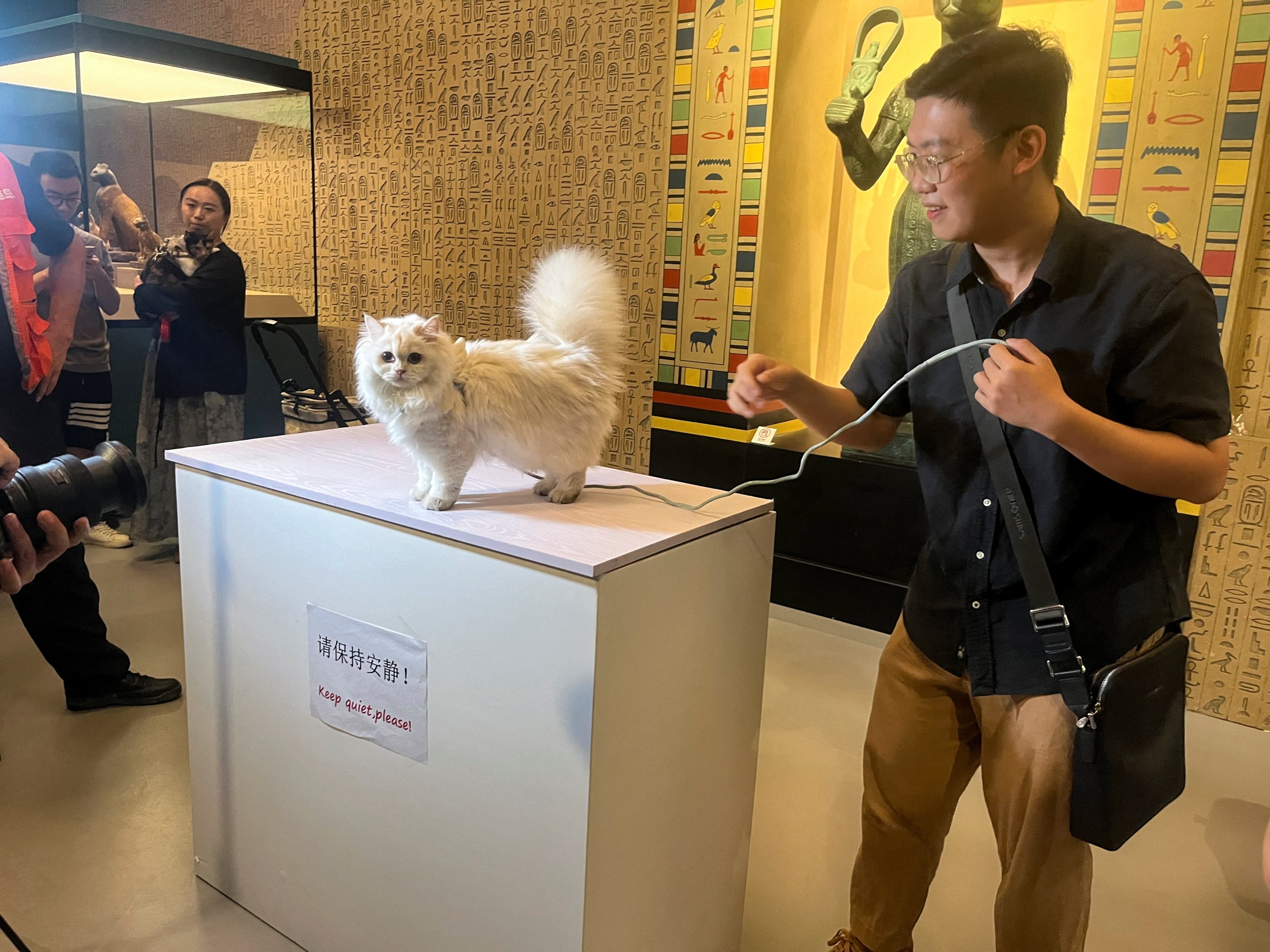 343881 A cat owner positions his feline companion for a photo in front of a statue depicting the cat goddess Bastet during Shanghai Museum's