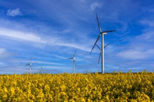 Windmills are seen against a field in this undated photo, Silivri, Istanbul, Türkiye. (Getty Images Photo)