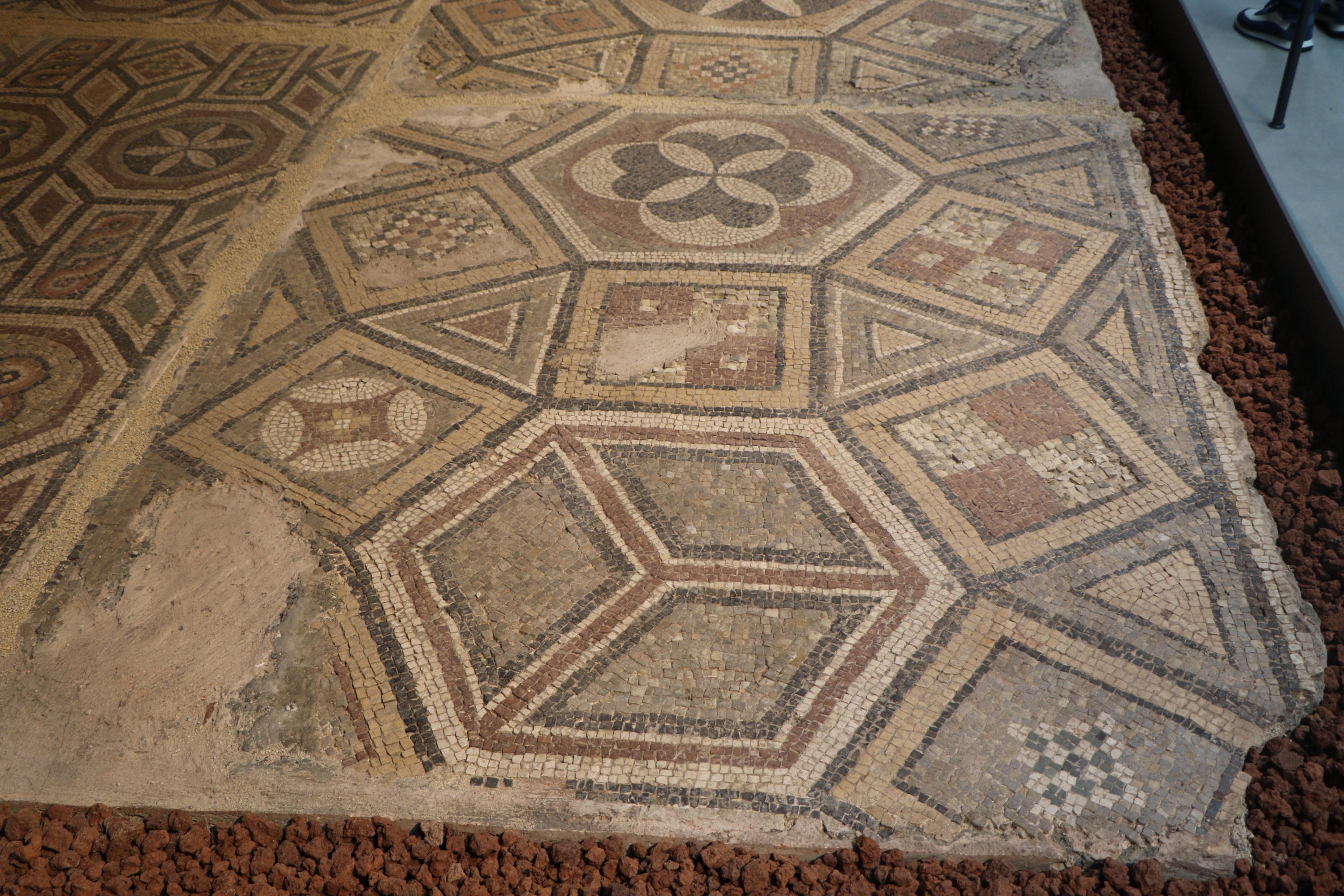 348524 Mosaics discovered during road construction has been showcased to the public with the opening of the new Samsun Museum, Samsun, Türkiye, Sept. 30, 2024. (DHA Photo)