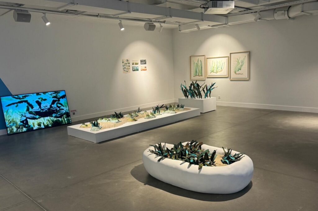 A selection of artworks from the exhibition "Kıyının Getirdikleri" at MeshRu Istanbul, Türkiye, Oct. 3, 2024. (AA Photo)