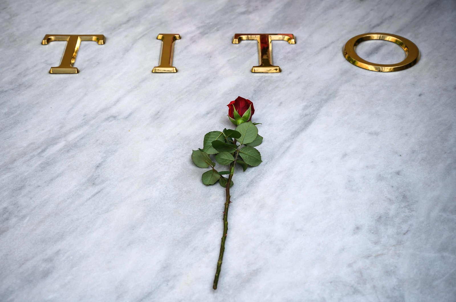 A red rose is laid by an admirer of Josip Broz Tito (1892-1980), former president of communist Yugoslavia, at his resting place inside the "House of Flowers," located in the Museum of Yugoslav History in Dedinje neighborhood, Belgrade, Serbia, May 4, 2020. (AFP Photo)