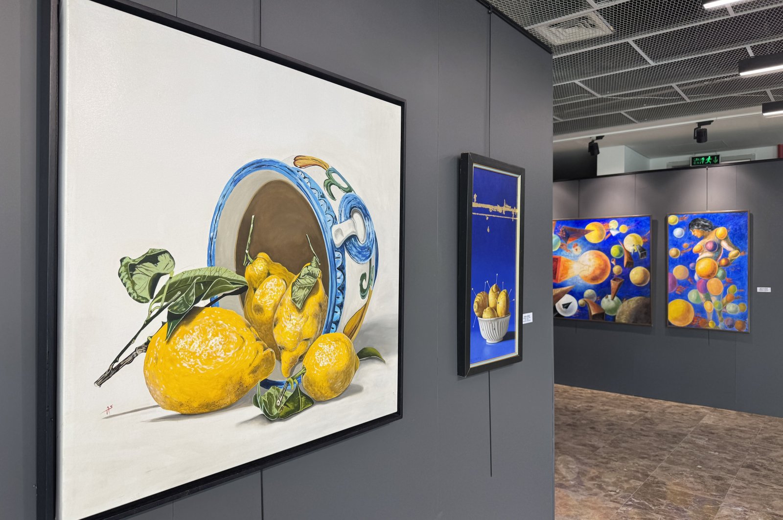 The artworks on display at the "Italian Painters in Adıyaman" exhibition, Adıyaman, Türkiye, Oct. 12, 2024. (AA Photo)