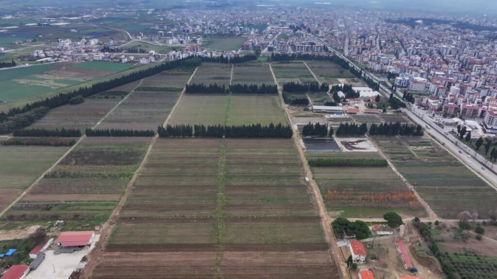 An aerial view of Forest Nursery showcasing the lush greenery and expansive sapling production fields, Izmir, Türkiye, Jan. 12, 2024. (AA Photo)