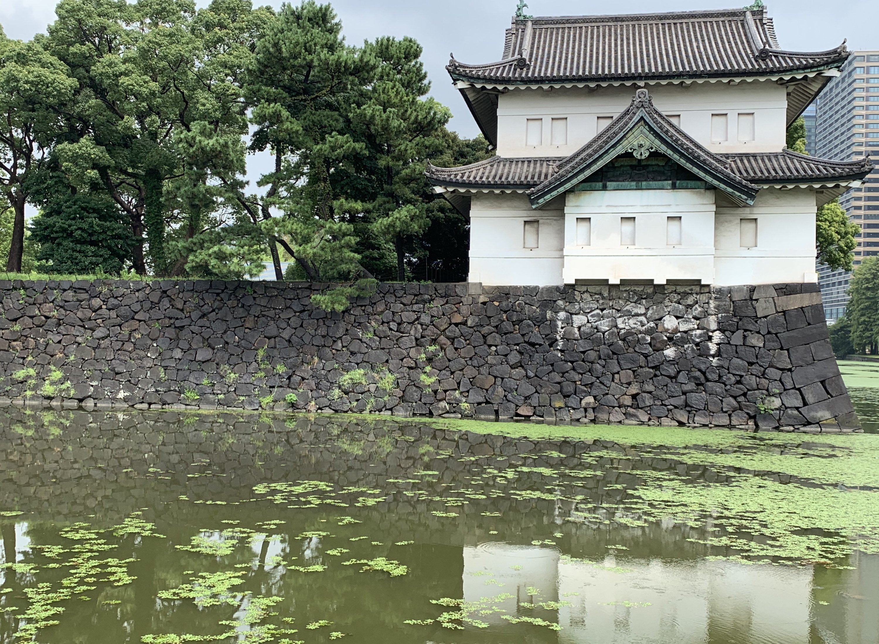 369694 The Meiji Shrine, located within the 70-hectare forested area now known as Yoyogi Park, was completed between 1920 and 1926, Tokyo, Japan, Aug. 27, 2019. (Photo by İlker Topdemir)