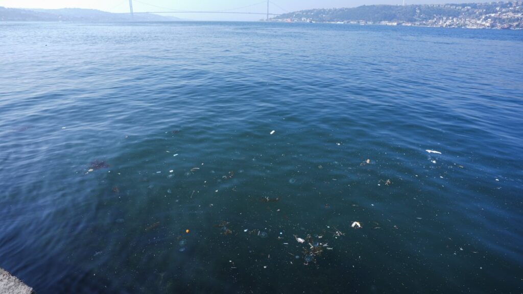 A view from the seaside in the Çengelköy neighborhood shows the polluted Bosporus in Istanbul’s Üsküdar district, Türkiye, March 10, 2025. (AA Photo)
