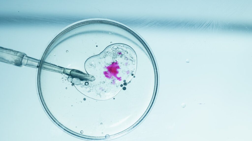 A woman in Australia unknowingly gave birth to a stranger’s baby after she received another patient's embryo from her in vitro fertilization clinic due to "human error,” the clinic said. (Shutterstock Photo)
