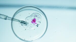 A woman in Australia unknowingly gave birth to a stranger’s baby after she received another patient's embryo from her in vitro fertilization clinic due to "human error,” the clinic said. (Shutterstock Photo)