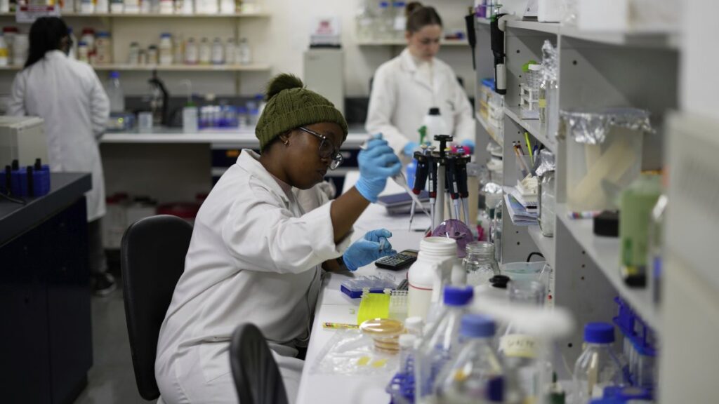 A laboratory technician works on samples at the Wits laboratory Antiviral Gene Therapy Research Unit, at University of the Witwatersrand Medical School, in Johannesburg, South Africa, May 23, 2025. (AP Photo)