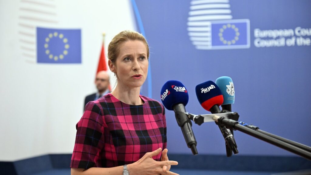 EU High Representative and Vice-President for Foreign Affairs and Security Policy, Kaja Kallas, speaks to journalists, July 14, 2025. (AA Photo)