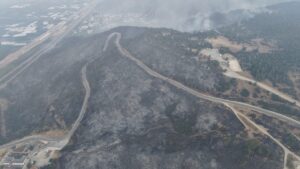 An aerial view shows burned pine forests after the wildfire in Gürsu, Bursa, Türkiye, July 27, 2025. (IHA Photo)